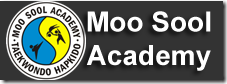 Promoción de Moo Sool Academy en Londes 1