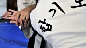 HAPKIDO